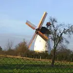 Holländer-Windmühle und Streuobstwiese bei Haseloff östlich Niemegk.