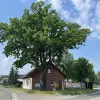 Gräben ist eine Gemeinde im Landkreis Potsdam-Mittelmark in Brandenburg.